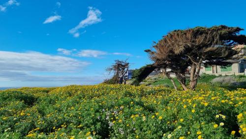 สภาพแวดล้อมโดยรอบ, Cabaña Mediterranea ideal pareja con lindas vistas (Cabana Mediterranea ideal pareja con lindas vistas) in กิงเตโร