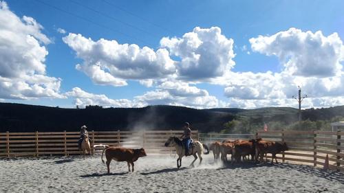 騎馬, Gite équestre, belle maison ancienne en pierre (Gite equestre, belle maison ancienne en pierre) in 塔納克