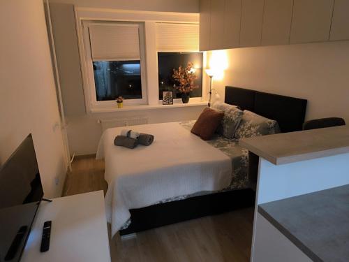 Apartmán Pohoda, Praha