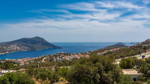 Villa with Sea View image 10
