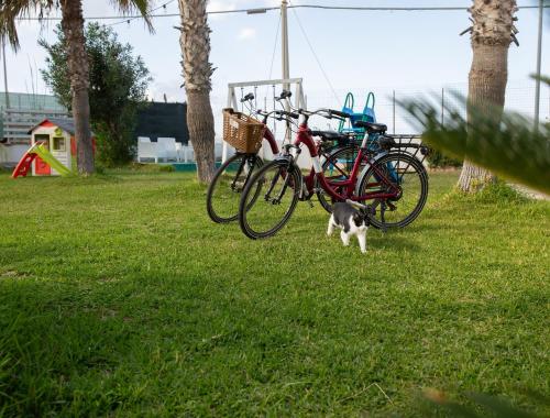 Case Playa, Balestrate (foto 2)