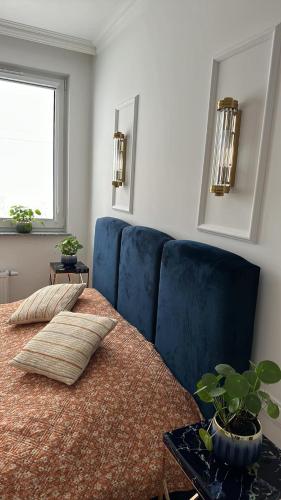 Celine Apartments