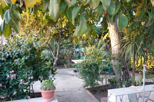 B&B Sogni D'Oro 4
