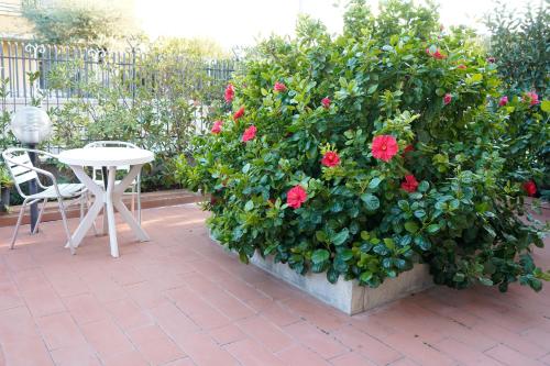 B&B Sogni D'Oro 2