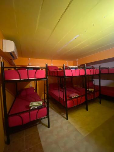 Seventeen Hostel Room Type - Bed in 8-Bed Dormitory Room with External Shared Bathroom