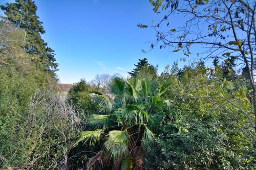 Bruyeres with deck and private parking in Saint Martin