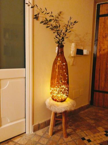 MancioBiba Home