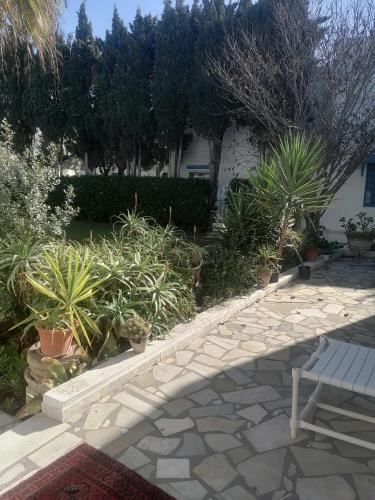 Raf Guest House in Sidi Bou Said