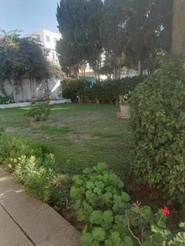 Raf Guest House in Sidi Bou Said