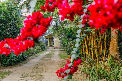 Greenwood Flora - Guwahati