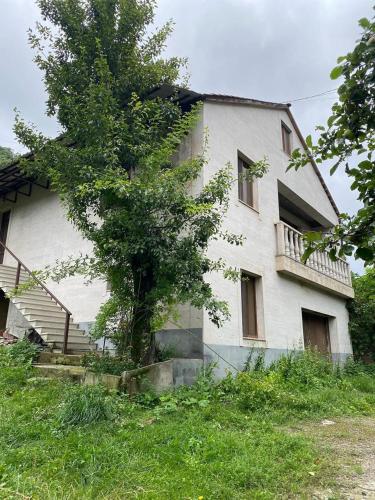 WarmSoul Guesthouse Dilijan