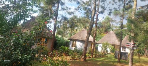 BN Private Beach & Resort - Jinja in Jinja