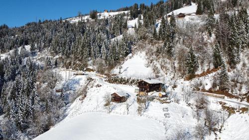 Artlieb Hütte – khách sạn tại Urreiting