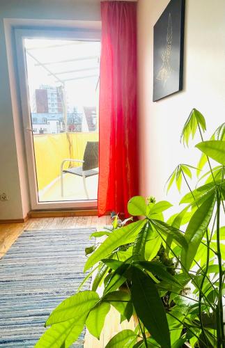 Ruheoase im Herzen von München, München (Foto 9)
