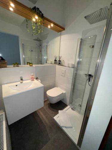 Ferienwohnung- Monteurwohnung- Businesswohnung- Wellness- Sauna in 阿舍貝格