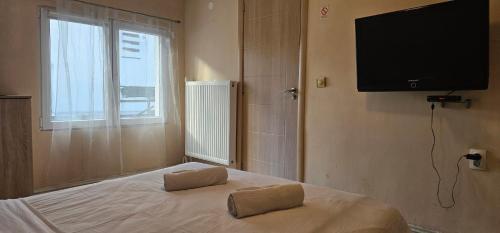 Apartment with Terrace room in TeaBG