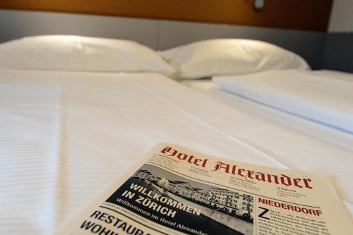 Alexander Guesthouse Zurich Old Town - image 2