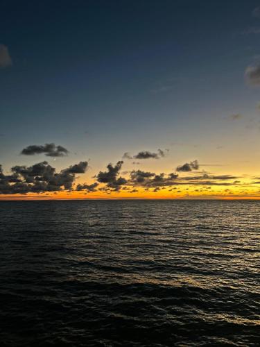 Ventus Harbor Hotel - image 9