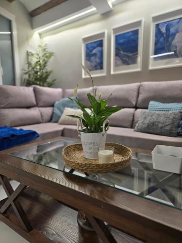 eXperience Apartment Valencia, Valence (photo 2)