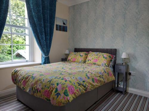 Old School B & B, Llandysul (fotografie 6)