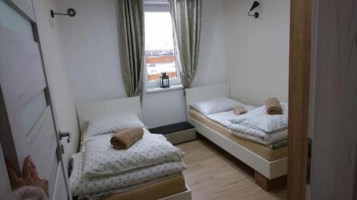 2 twin beds, 2 sofa beds