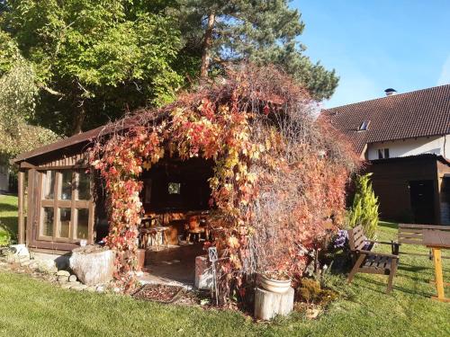 Penzion Montana in Hojsova Straza