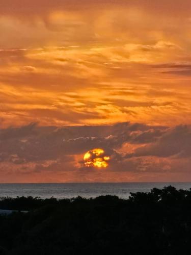 Surrounding environment, Vista deslumbrante do Santinho! in Santinho Beach