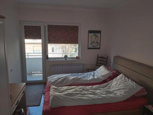 Lumina Apartment, Skopje (fotografie 7)