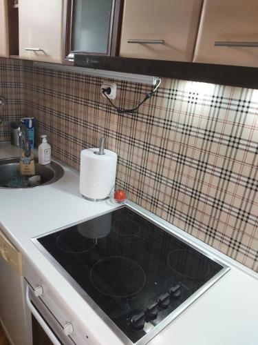Lumina Apartment, Skopje (fotografie 10)