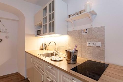 Resort Mlýn Karolínka Room Type - Deluxe One-Bedroom Apartment with Garden View