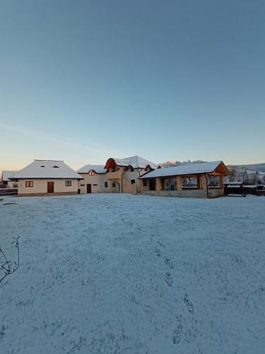 Kert, Casa Delia in Manastirea Humorului