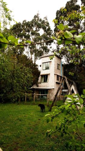 Unique Tree House Hideaway in Nature