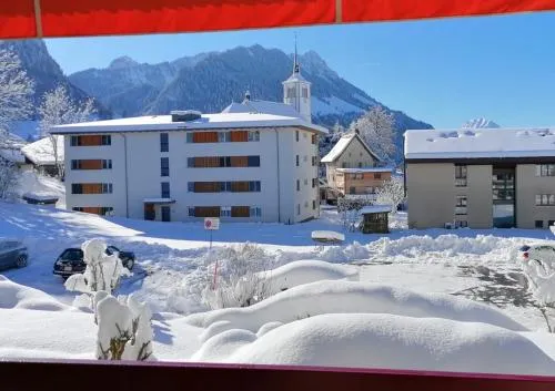 Fleur des alpes, Les Edelweiss in Charmey, Schweiz