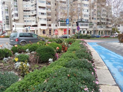 Cameră individuală în apartament comun langa plaja, centrul Constanta Cameră individuală în apartament comun langa plaja, centrul Constanta