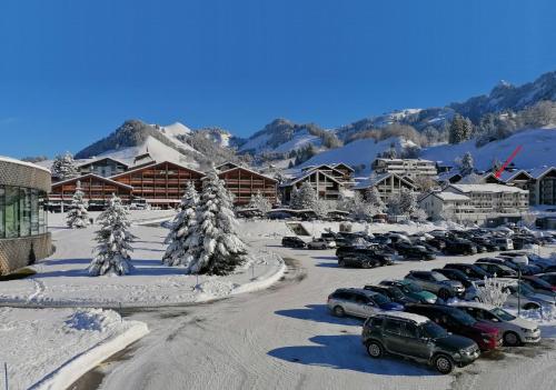 Fleur des alpes, Les Edelweiss in Charmey