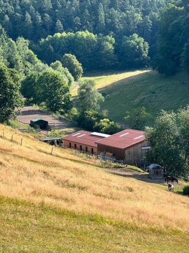 Ferienwohnung beim Pferdehof in Neuenstein