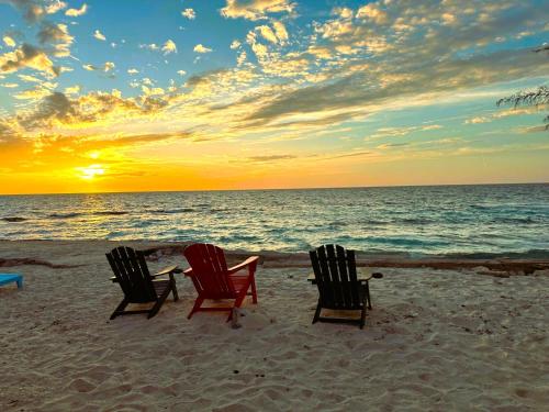 Restoran, Turks Head Inne in Grand Turk