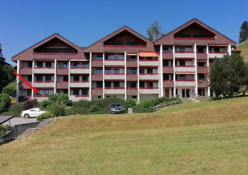 Buitenkant, Fleur des alpes, Les Edelweiss in Charmey