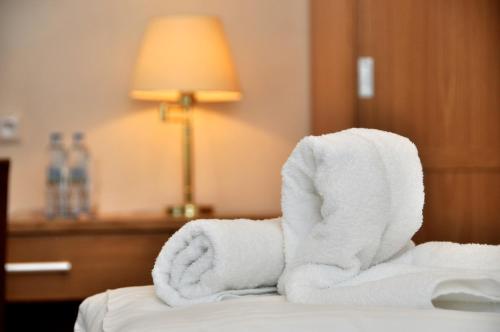Hotel Pod Zeleným Dubem