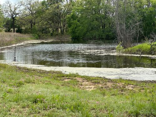 Tiny Town Rustlers D D Cabin Animals Fire Pit by Vacation Your Way