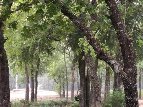 Tiny Town Rustlers D D Cabin Animals Fire Pit by Vacation Your Way