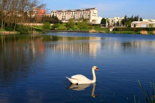 Faciliteiten, Family apartment facing lakes - Paris & Disneyland in Lognes