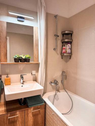 Apt 555 New & Fully Equipped with Free Garage, Bratislava (photo 5)