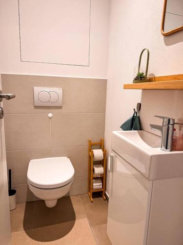 Apt 555 New & Fully Equipped with Free Garage, Bratislava (photo 6)