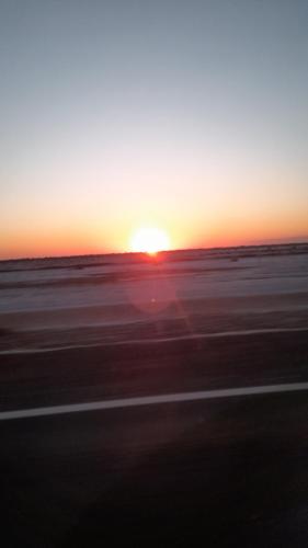 El Aguaribay in Albardon