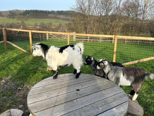 Gattimer Lodge near Hay on Wye gîte à louer Dorstone
