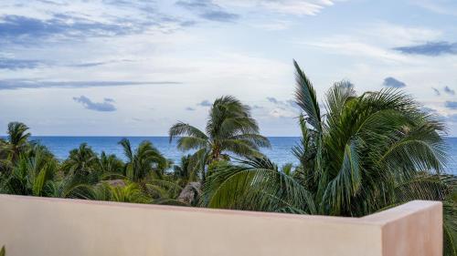romeotulum, Tulum (fotografie 7)