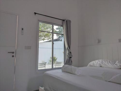 Avi Guesthouse Avi Guesthouse