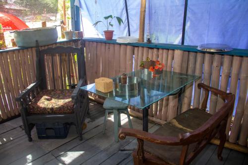 Pub/Lounge, Hostal Café Axi (Hostal Cafe Axi) in Isla San Cristobal