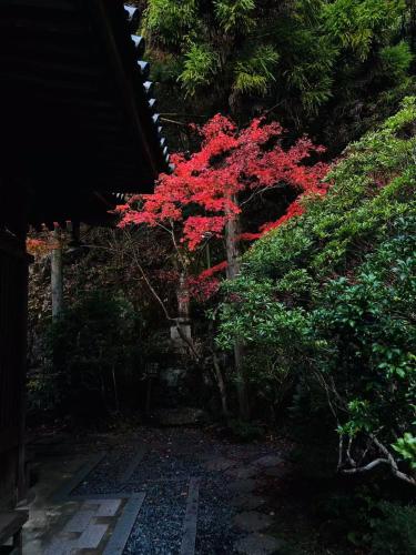 Guest house Mitaki - 주변 환경